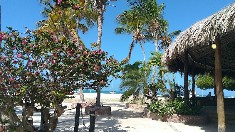 Sun-Kissed Shores of Coche Beach - Coche Beach