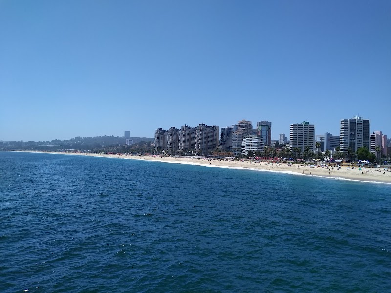 Beach Bliss at Playa El Sol, Viña del Mar - Playa El Sol