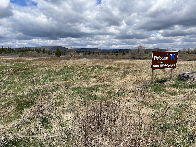 Discover Canaan Valley's Natural Wonder outdoor detail