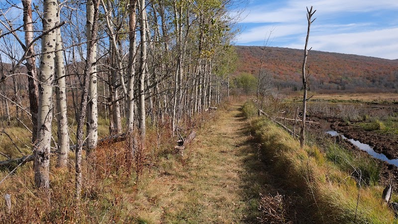 Discover Canaan Valley's Natural Wonder surrounding landscape