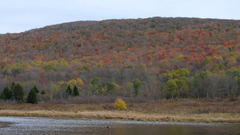 Discover Canaan Valley's Natural Wonder - Canaan Valley National Wildlife Refuge Visitor Center