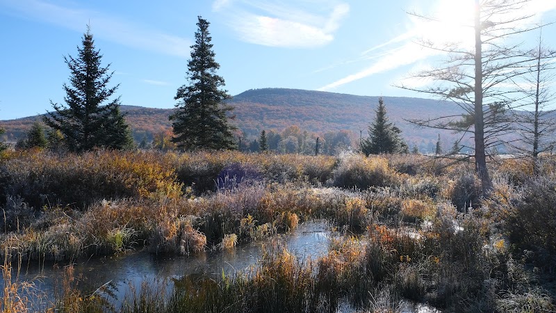 Discover Canaan Valley's Natural Wonder - Canaan Valley National Wildlife Refuge Visitor Center