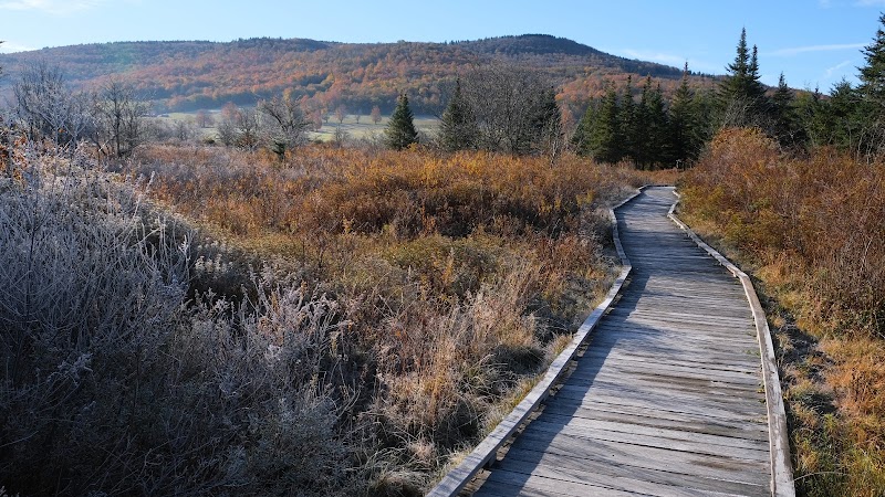 Discover Canaan Valley's Natural Wonder - Canaan Valley National Wildlife Refuge Visitor Center