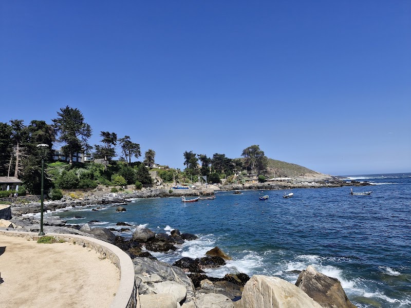 Coastal Serenity at Zapallar Beach - Zapallar beach