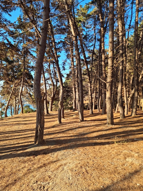 Beachside Bliss at El Canelillo - El Canelillo