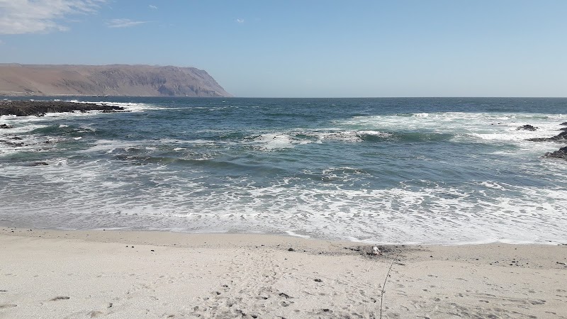 Discover the Tranquility of Playa Brava in Arica - Playa Brava