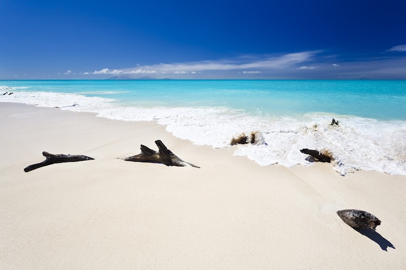 Pristine Shores of Playa Las Palmas - Playa Las Palmas