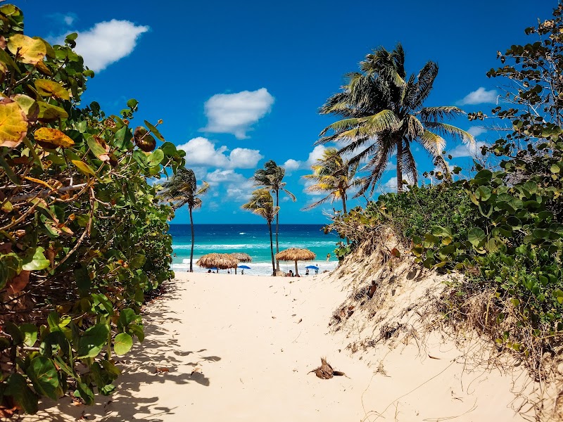 Pristine Shores of Playa Las Palmas - Playa Las Palmas