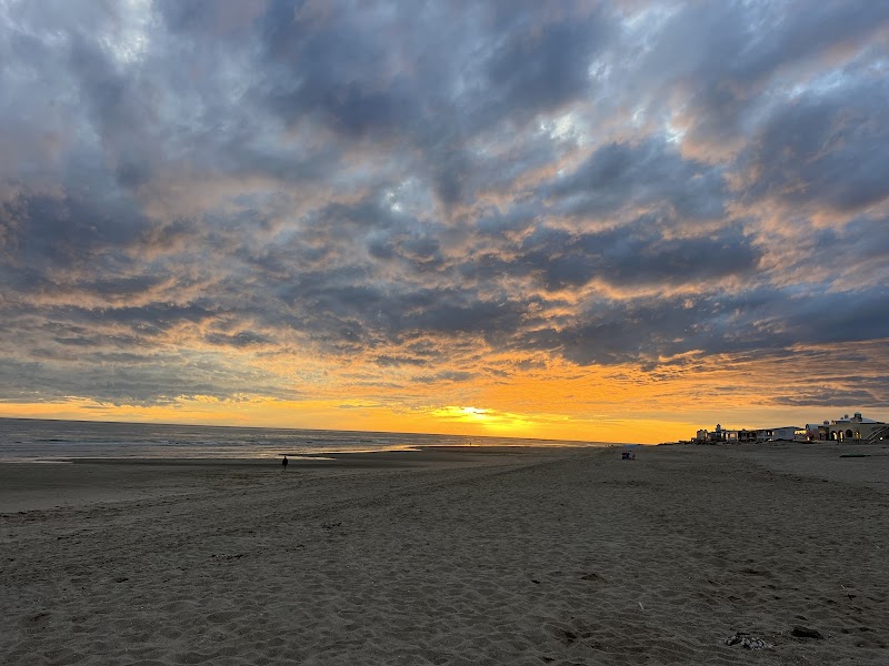 Sun, Sand, and Serenity at La Jolla Beach - La Jolla Beach