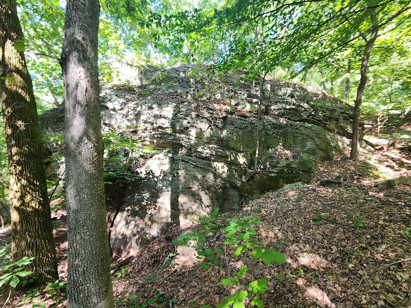 Climbing Vibrant Holy Boulders surrounding landscape