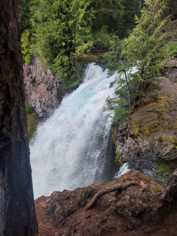 Majestic Cascade at Sahalie Falls surrounding landscape