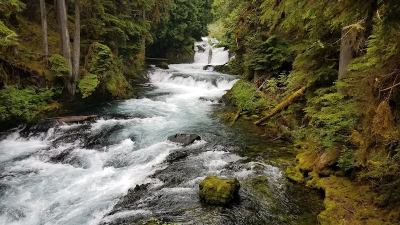 Majestic Cascade at Sahalie Falls - Sahalie Falls