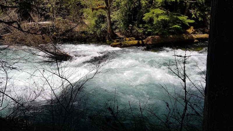 Unwind at the Scenic McKenzie River - McKenzie River