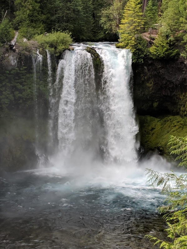 Unwind at the Scenic McKenzie River - McKenzie River
