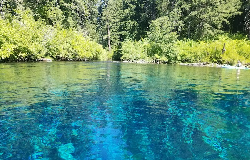 Serene Waters at Clear Lake, Oregon - Clear Lake