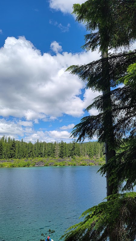 Serene Waters at Clear Lake, Oregon - Clear Lake
