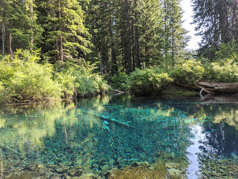 Serene Waters at Clear Lake, Oregon outdoor detail