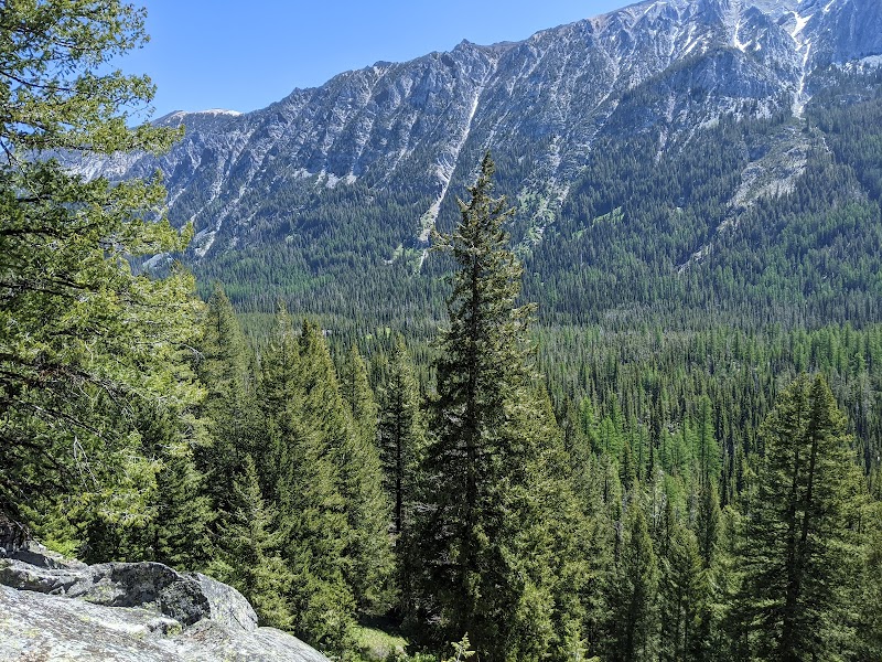 Discover the Beauty of Six Mile Meadow - Six Mile Meadow