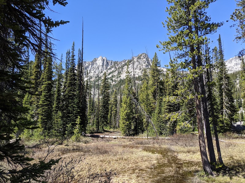 Discover the Beauty of Six Mile Meadow - Six Mile Meadow