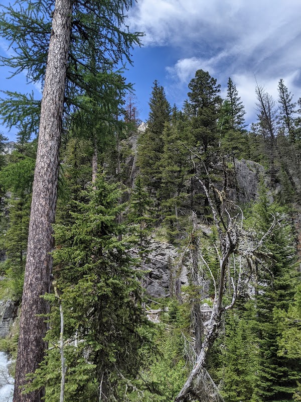 Discover the Beauty of Six Mile Meadow surrounding landscape