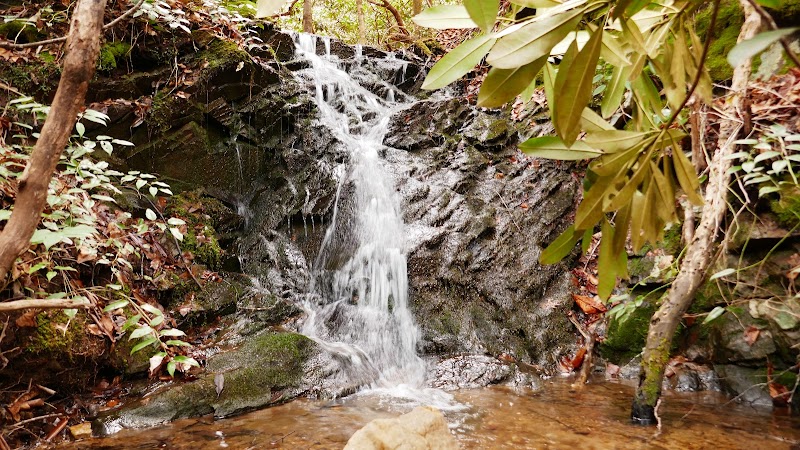 Nature's Beauty at Pisgah National Forest - Pisgah National Forest, Rocky Bluff recreation area