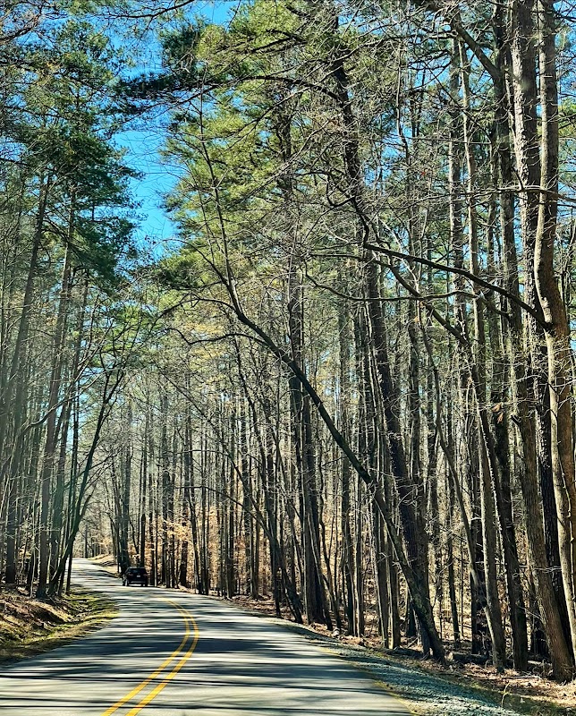 William B. Umstead State Park: A Natural Retreat - William B. Umstead State Park