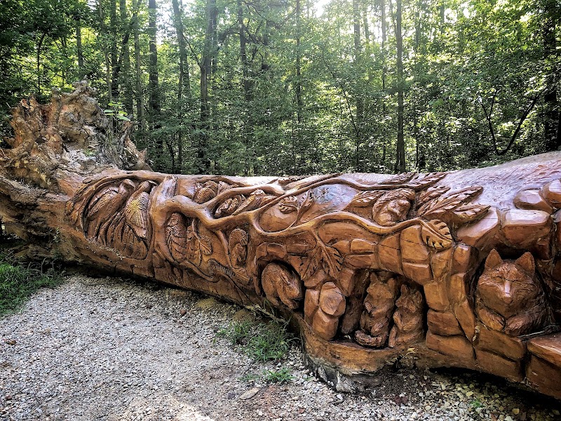 William B. Umstead State Park: A Natural Retreat - William B. Umstead State Park