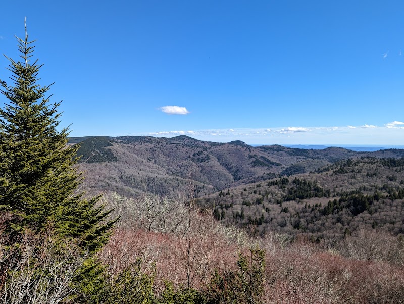 Discover Serene Beauty in Middle Prong Wilderness - Middle Prong Wilderness