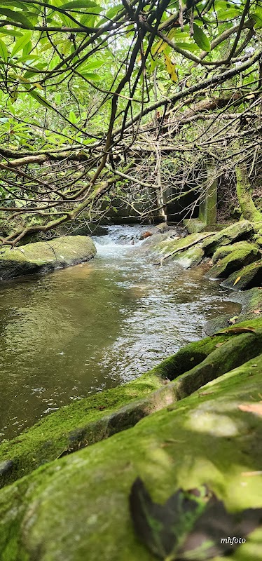 Discover the Hidden Gem: Ellicott Rock Wilderness - Ellicott Rock Wilderness