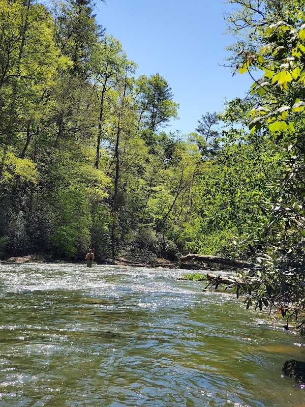 Discover the Hidden Gem: Ellicott Rock Wilderness - Ellicott Rock Wilderness