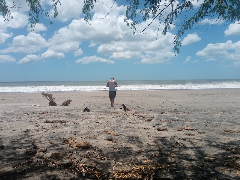 Pristine Sands of Jiquiliste Beach - Jiquiliste Beach