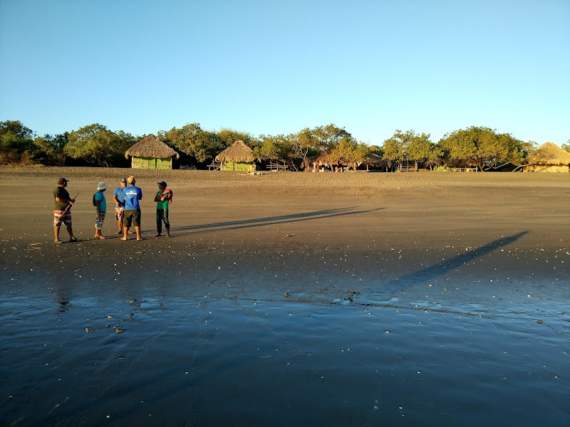 Serene Beach Retreat: Palo de Oro Cooperative - Palo de Oro Cooperative