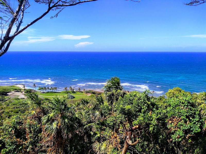 Tropical Wonders of Eco Honduras - Eco Honduras