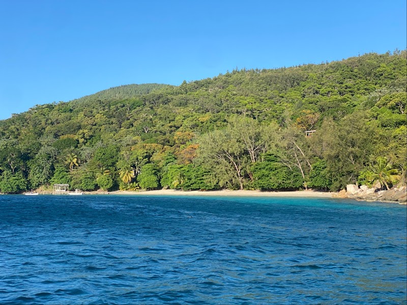 Sun-Kissed Shores at Bayman Bay Beach - Bayman Bay Beach