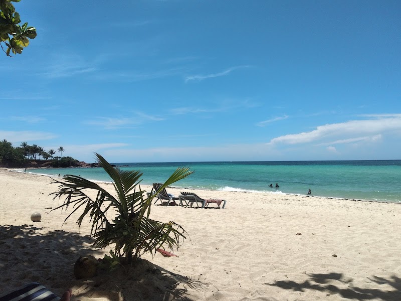 Beach Bliss at Camp Bay Beach - Camp Bay Beach