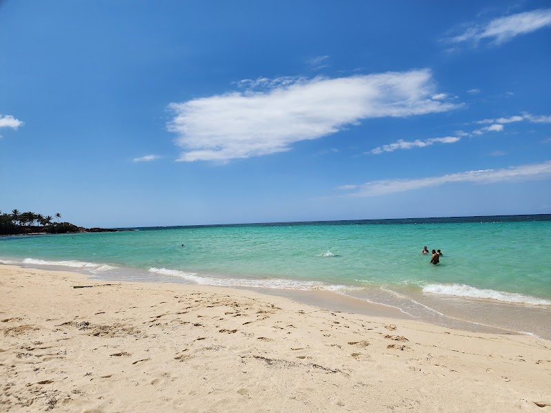 Beach Bliss at Camp Bay Beach - Camp Bay Beach