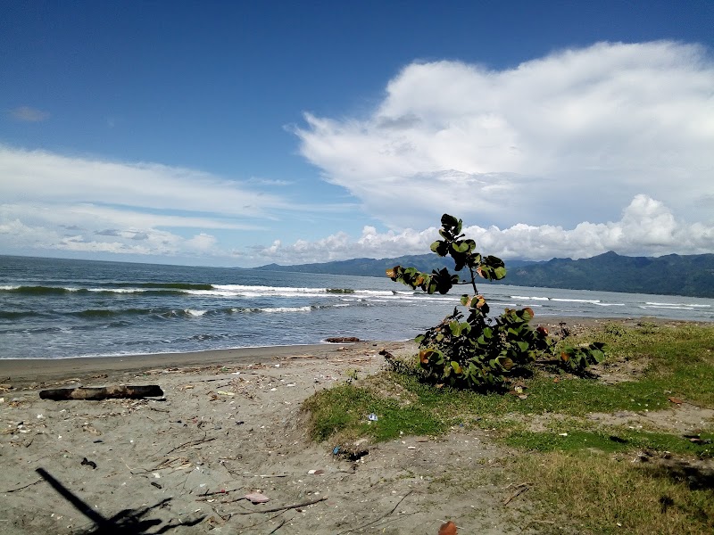 Sun, Sand, and Surf at Playa Buena Vista - Playa Buena Vista