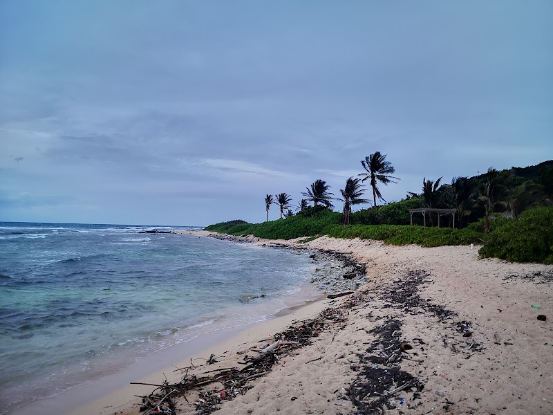 Sun-Kissed Shores of Pumpkin Hill Beach - Pumpkin Hill Beach