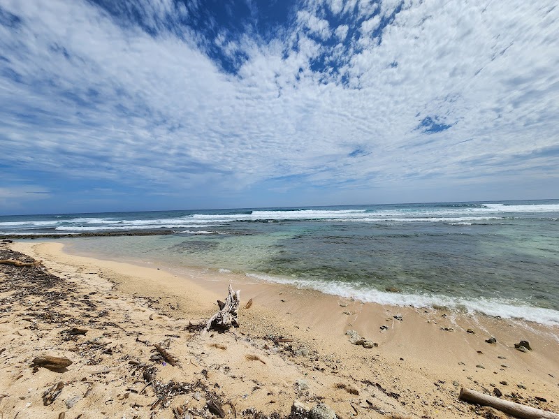 Sun-Kissed Shores of Pumpkin Hill Beach - Pumpkin Hill Beach