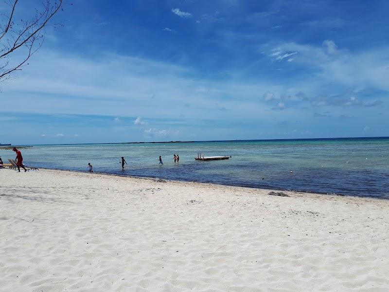 Serenity by the Ocean: Bahama Beach - Bahama Beach