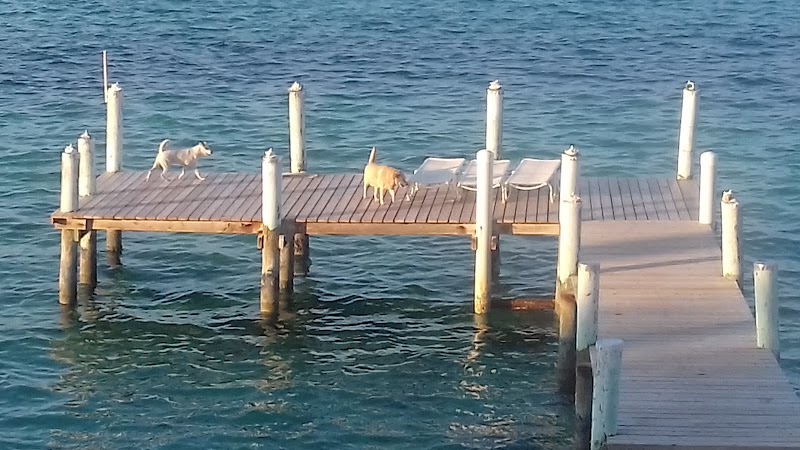 Sun-Kissed Serenity at Aqua Beach, Nassau - Aqua Beach