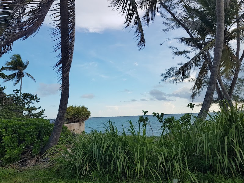 Sun-Kissed Serenity at Aqua Beach, Nassau - Aqua Beach