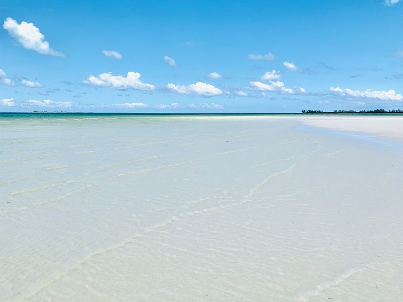 Starfish Serenity at Shark Creek Beach - Shark Creek Beach