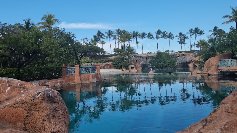 Paradise Lagoon: Tropical Oasis in the Bahamas surrounding landscape