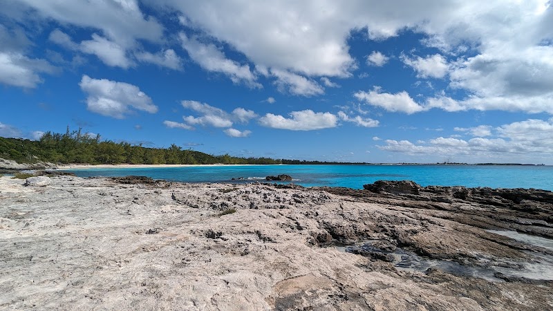 Serene Shores of Half Moon Beach, Bahamas - Half Moon Beach