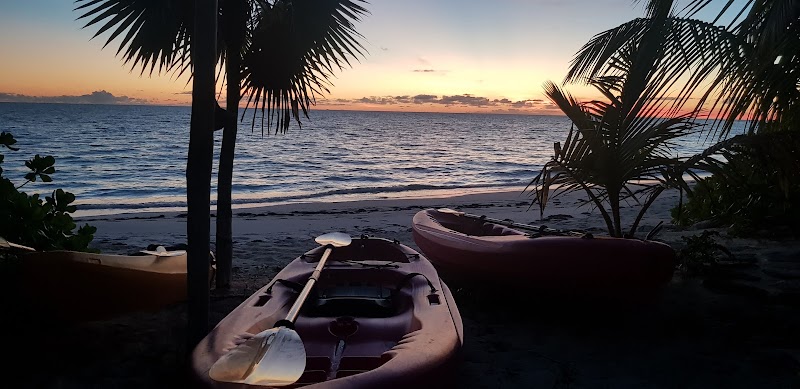 Tropical Paradise: Port Royal Beach in The Bahamas - Port Royal Beach