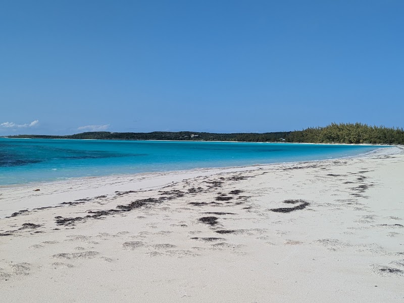 Tropical Paradise: Port Royal Beach in The Bahamas - Port Royal Beach