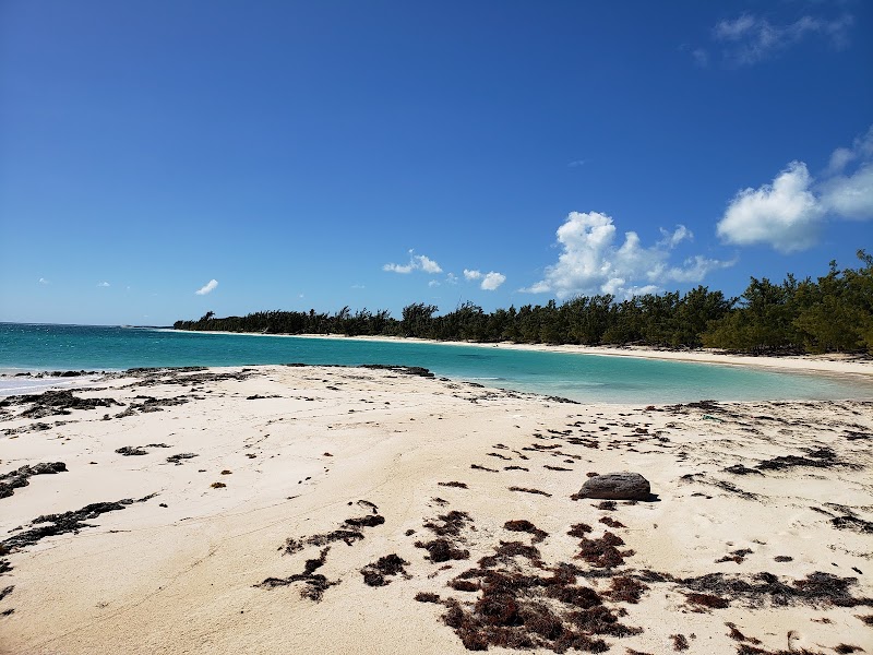 Sandy Paradise at Whiteland Beach - Whiteland Beach