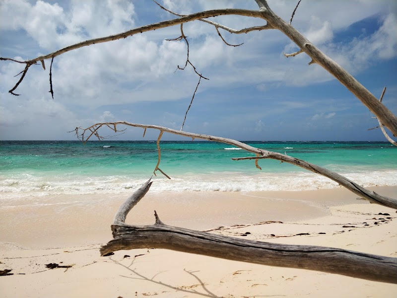 Sandy Paradise at Whiteland Beach - Whiteland Beach