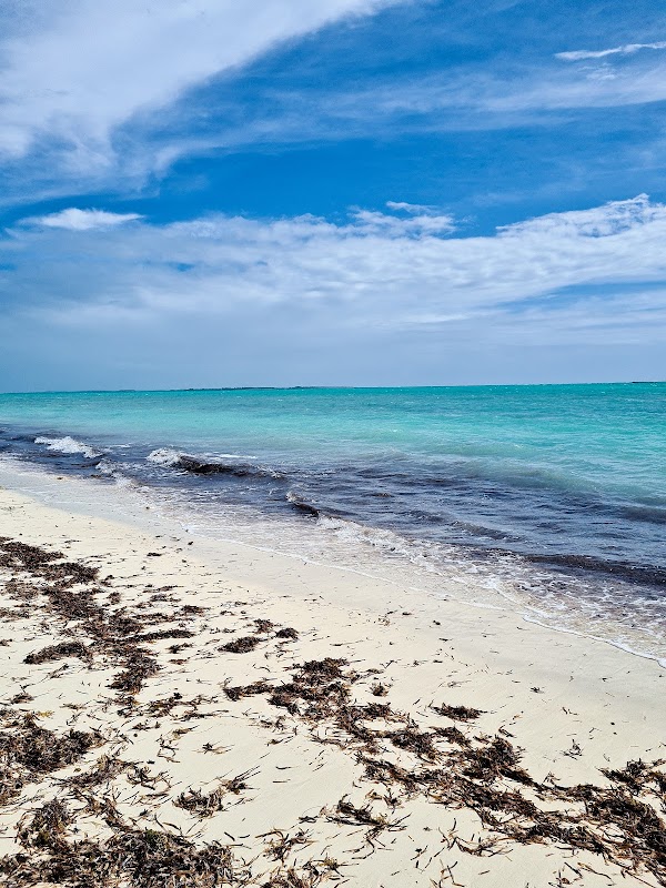 Tropical Bliss at Bahama Palm Shores - Bahama Palm Shores